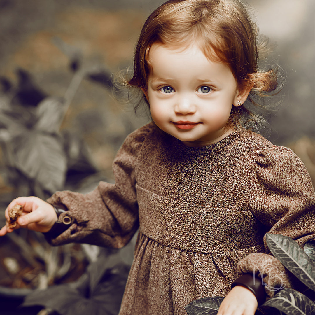 Brown Wool Dress